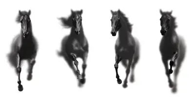 Shadow Horses mural design