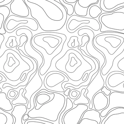 Dizzy Circles black&white design