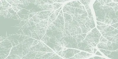 Tree Web Patch Mural green design