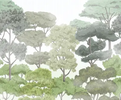 Graphic forest view bright - Mural / Wall Art Decor design