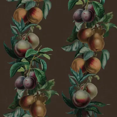 Fruit Vines Brown wallpaper design